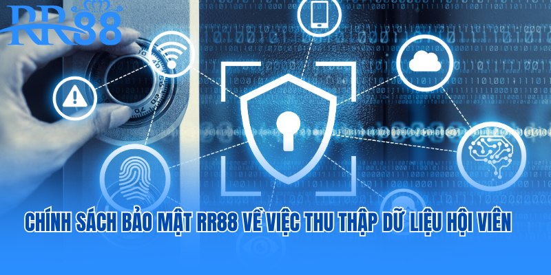 Chính sách bảo mật RR88 về việc thu thập dữ liệu hội viên